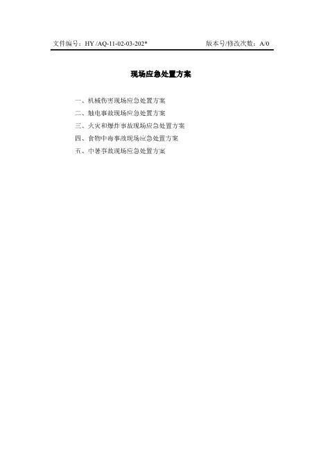 13-04-03-现场应急处置方案