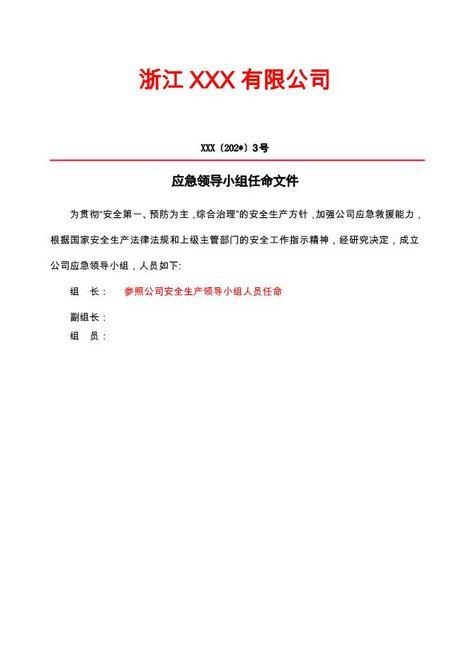 13-05-应急领导小组任命文件