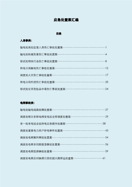 5.各类现场应急处置方案汇编（227页）