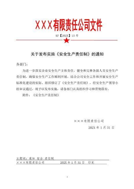 13.关于发布实施《安全生产责任制》的通知
