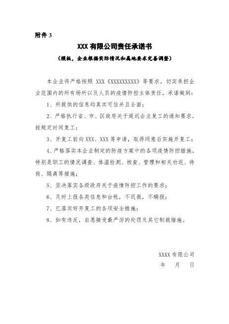 附件3：XXX有限公司责任承诺书（模板，企业根据实际情况和属地要求完善调整）