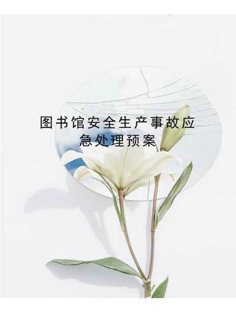 10.图书馆安全生产事故应急处理预案
