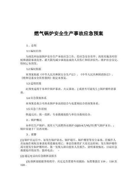 20.燃气锅炉安全生产事故应急预案