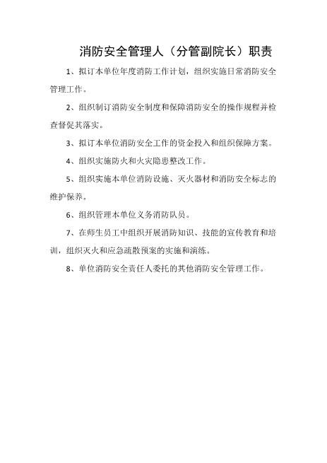 消防安全管理人（分管副院长）职责