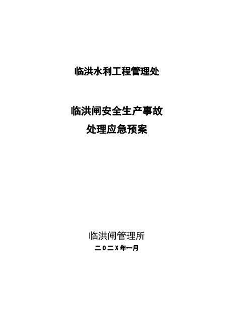 临洪闸安全生产事故处理应急预案
