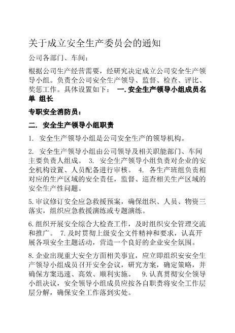 关于公司成立安全生产委员会文件